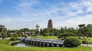 德惠绿化苗木市场完了
